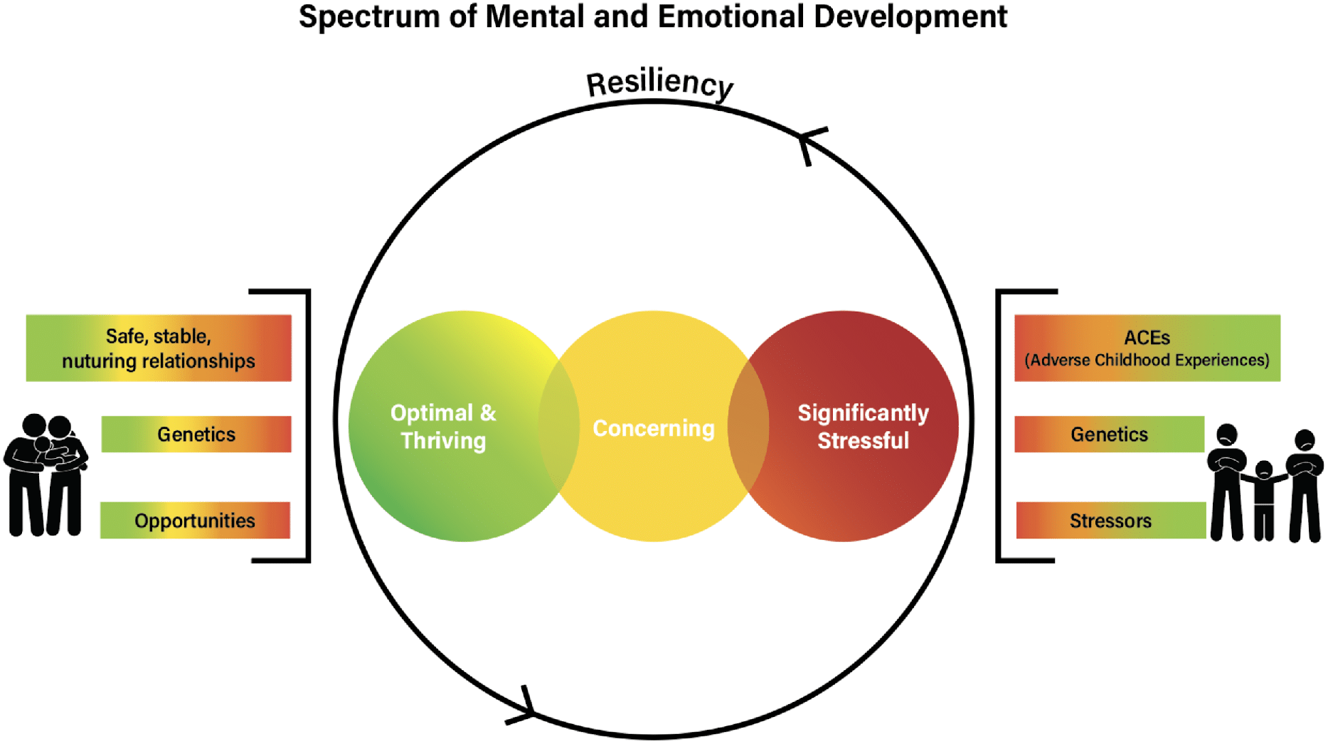 Spectrum of healthy mental and emotional development function.