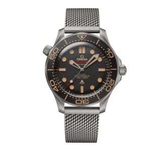 Omega Seamaster Grey 210.90.42.20.01.001 | Steel & White gold