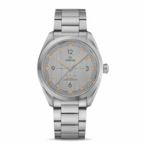 Omega Seamaster Silver 210.30.42.20.06.001 | Steel & White gold